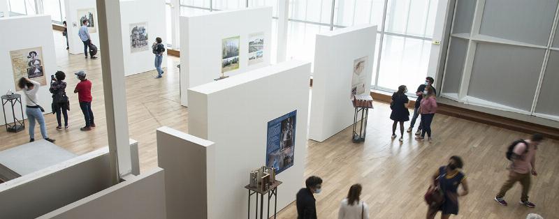 La lumière dans les paysages impressionnistes exposés en galerie d'art moderne